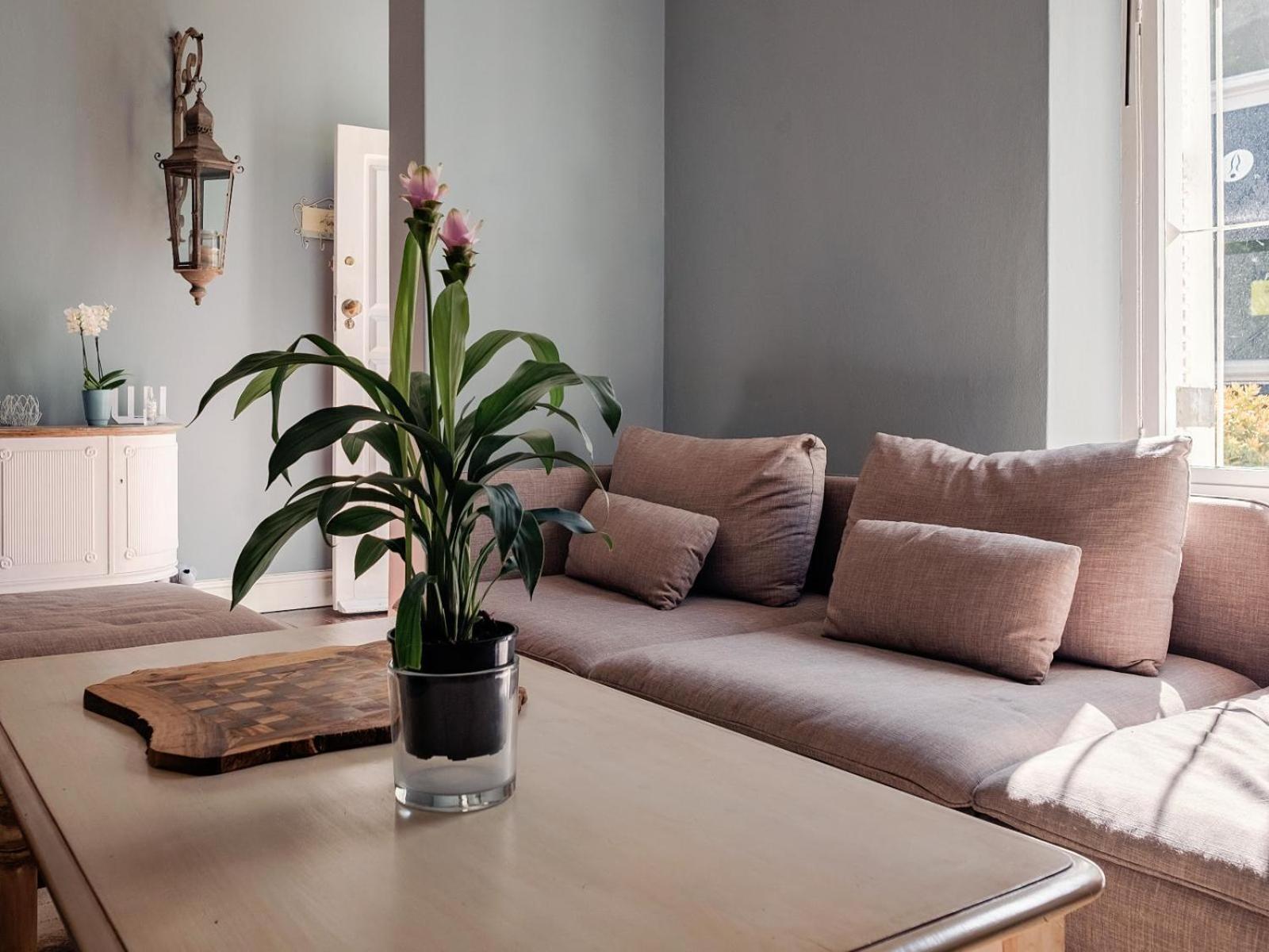 Purple House Accommodations Cape Town Rom bilde