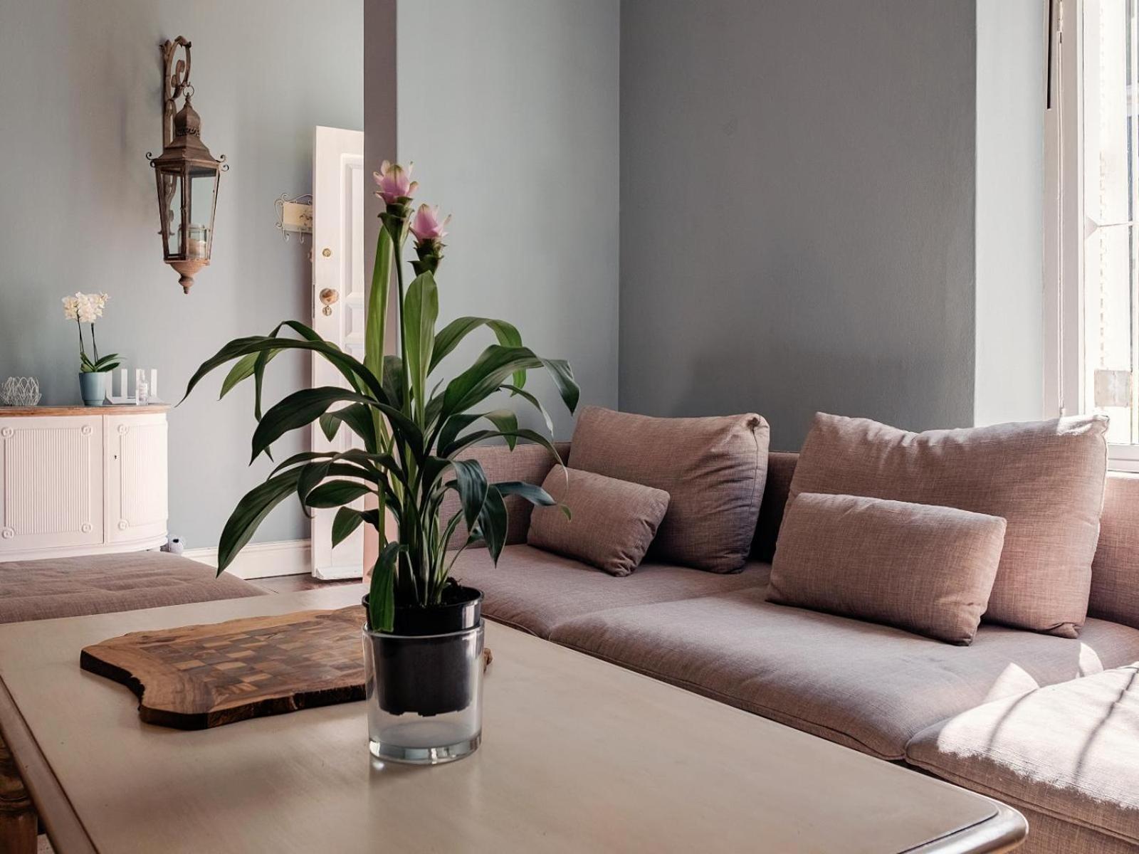 Purple House Accommodations Cape Town Rom bilde