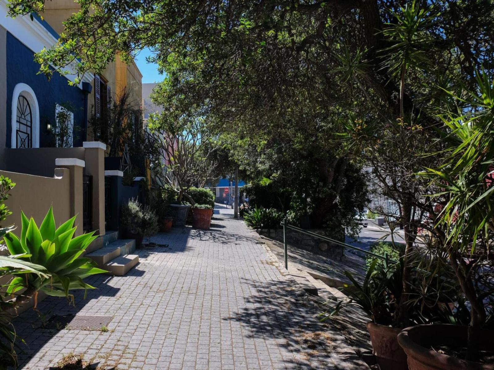 Purple House Accommodations Cape Town Eksteriør bilde